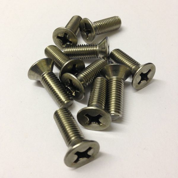 Door Hinge Screws BZP